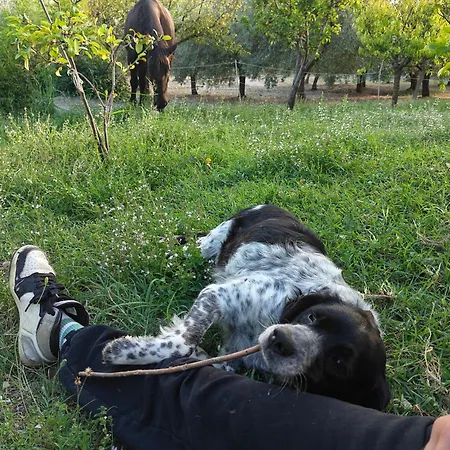 La Casetta Di Nonna Lulu Terni